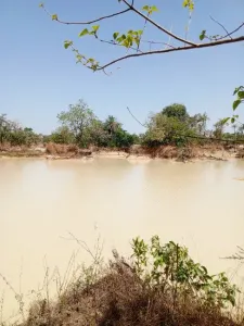 Apbūves zeme Pārdošanā 0000 Brikama Gambia  DE