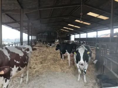 Ferma Pārdošanā 54000 GRAFIGNY FR