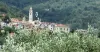 Dzīvoklis Pārdošanā - 18010 Villa Faraldi IT Thumbnail 7